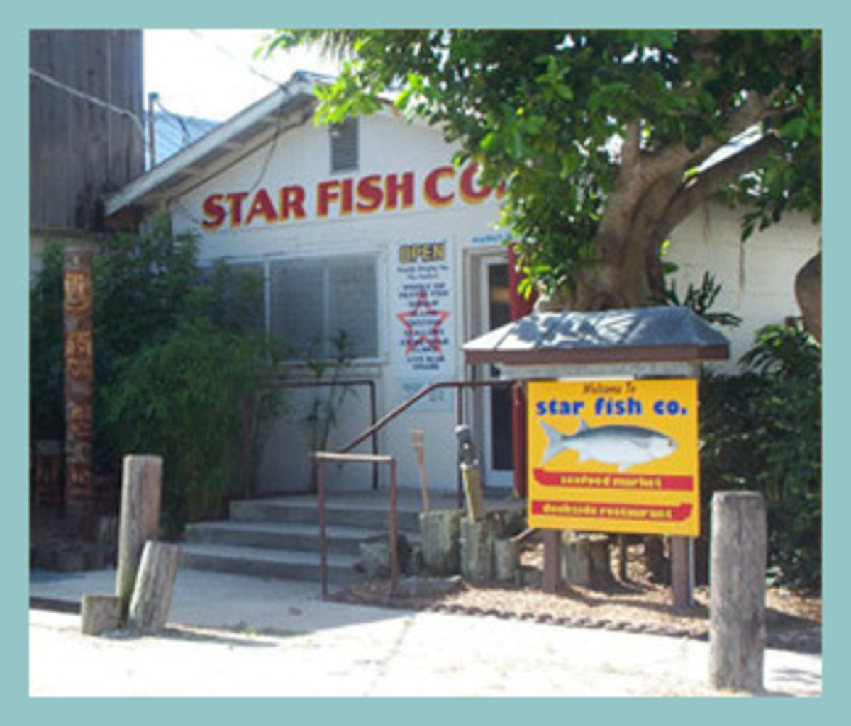 Starfish Company