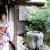 Japanese woman in Kimono in the garden.