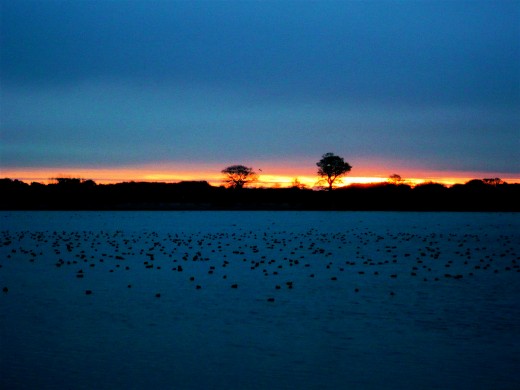 Dawn at Abberton Reservoir
