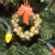 bells strung into a wreath bells strung into a wreath