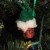 Grinch stuck in the chimney (film canister, pom pom and pipe cleaners) Grinch stuck in the chimney (film canister, pom pom and pipe cleaners)