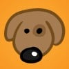 dogface lm profile image