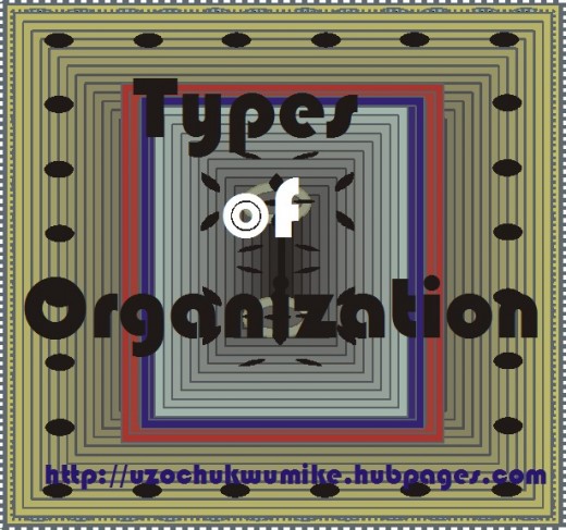 Types of organization in management 