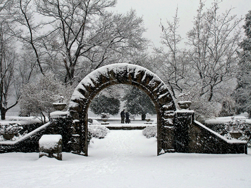 Winter Scene at Burnaby's Central Park