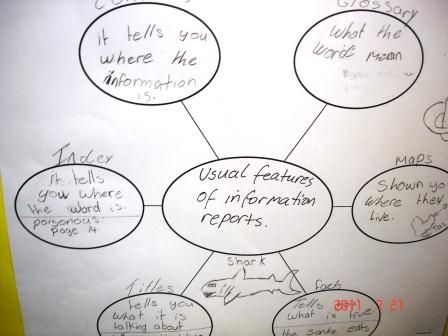A brainstorm web can be used for responding to guided or reciprocal reading texts.