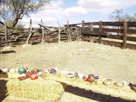 This corral now holds pumpkins and goards instead of horses and cows.