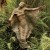 This statue had so much detail and looked so free and at ease.