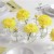 Breakaway Centerpieces from wedding-flowers-and-reception-ideas.com Breakaway Centerpieces from wedding-flowers-and-reception-ideas.com