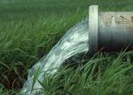 Learn how to conserve water at home.