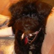 Finley profile image