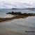 The rocky shore is a good place to spot shorebirds like oystercatchers and shags The rocky shore is a good place to spot shorebirds like oystercatchers and shags