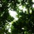 Looking up from the Kawerau track Looking up from the Kawerau track