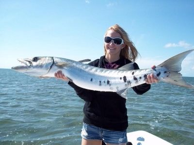 Barracuda are one of the larger predator species that can be caught in the waters off Key West, Florida.