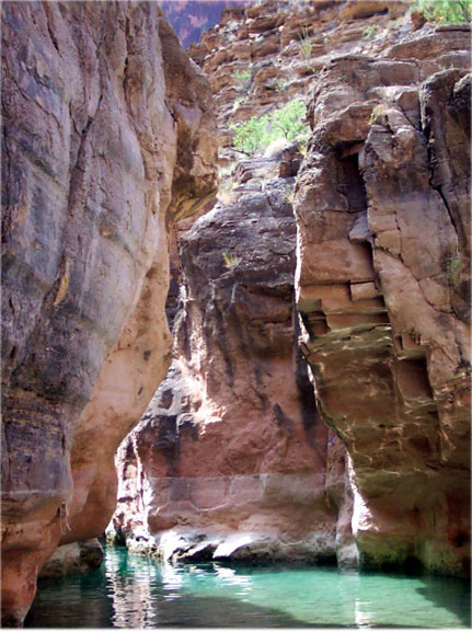Havasu Canyon