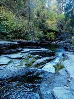 Creek Devils Bathtub Hike