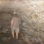 Exploring a dungeon. Exploring a dungeon.