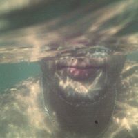 HubPages profile picture for @ussef