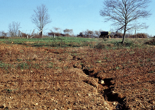 Rill erosion on a slope. Source: http://www.soils.usda.gov/