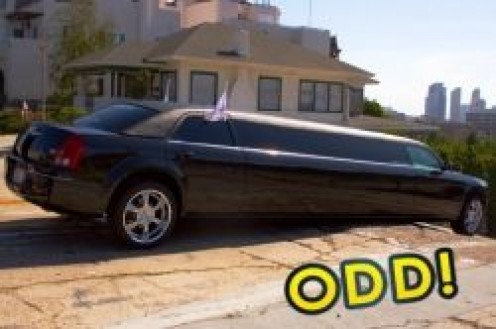 Funny Facts about Limousines You Probably Did Not Know Funny Facts about Limousines You Probably Did Not Know