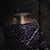 StevePicksLLC profile image