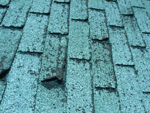 these asphalt shingles are about twelve years old and might not make it through another bad hail storm which could creat leaks that damage the inside walls
