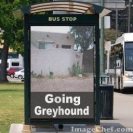 How much is a greyhound ticket