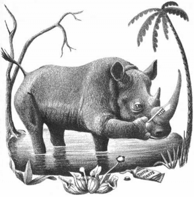 Rhino Brushing His Tusk