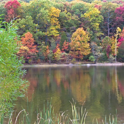 Autumn In Mid Missouri