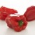 Red Bell Peppers Red Bell Peppers