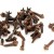 Whole Cloves Whole Cloves