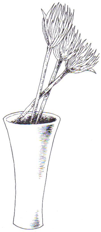 The inked stage of the card design, ready for the next stage - colour