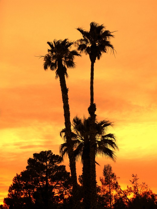 "Desert Sunset #2" by Dietmar Scherf
