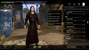 The Elder Scrolls Online Leveling Guide