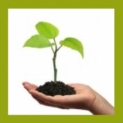 gardening guide profile image