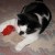 OK ball...you asked for it. You choose flattening? SO BE IT! OK ball...you asked for it. You choose flattening? SO BE IT!