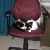 Secretary's Nana-nap Secretary's Nana-nap