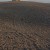 Forever stretch the acres of ploughing. Forever stretch the acres of ploughing.