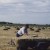 Faithfully baling and carting hay to feed those hungry Farm Friends. Faithfully baling and carting hay to feed those hungry Farm Friends.