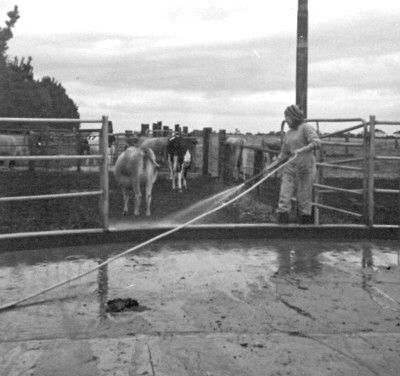 ...and squirt that .... manure!