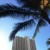 With the blue sky and palms framing every photo, you shouldn't have a difficult time snapping some beautiful photos that are a departure from the regular fare. With the blue sky and palms framing every photo, you shouldn't have a difficult time snapping some beautiful photos that are a departure from the regular fare.