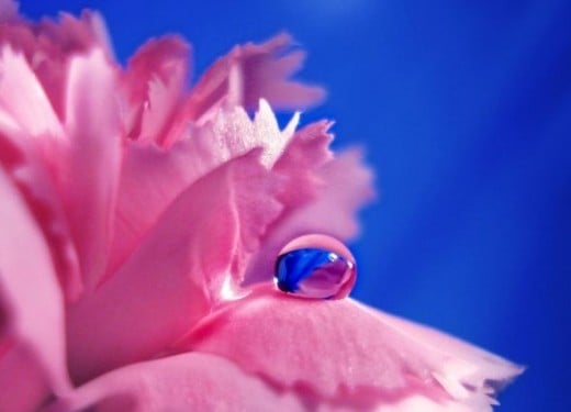 waterdrop photography by Arnaud S.