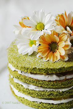 Green tea chiffon cake