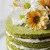 Green tea chiffon cake