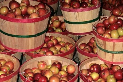 Baskets Of Red Apples