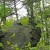Along the trail Along the trail