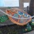 Tybee Island Marine Science Center Tybee Island Marine Science Center