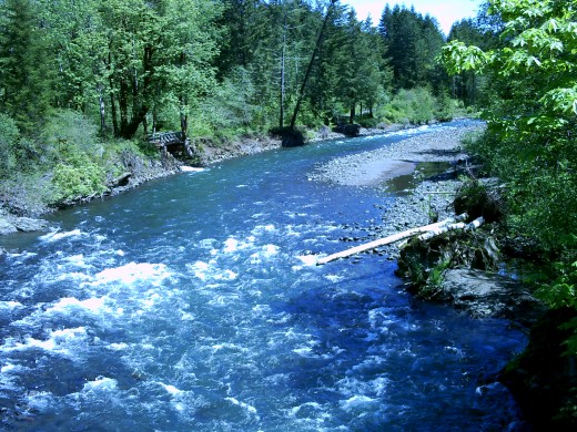 Wilson River