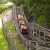 The wood Rollo Coaster's track was built from trees cut on the property.  At 27 feet high, reaching a top speed of 25mph, Rollo Coaster is great first coaster for kids and great fun for adults.