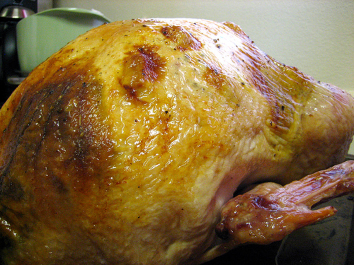 Baked Turkey (Photo courtesy by hyperbolation from Flickr)