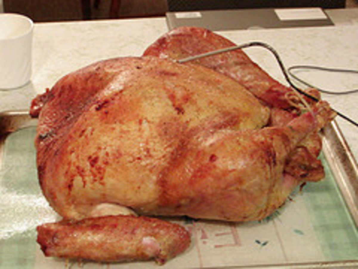 Grilled Turkey (Photo courtesy by mofoJT from Flickr)